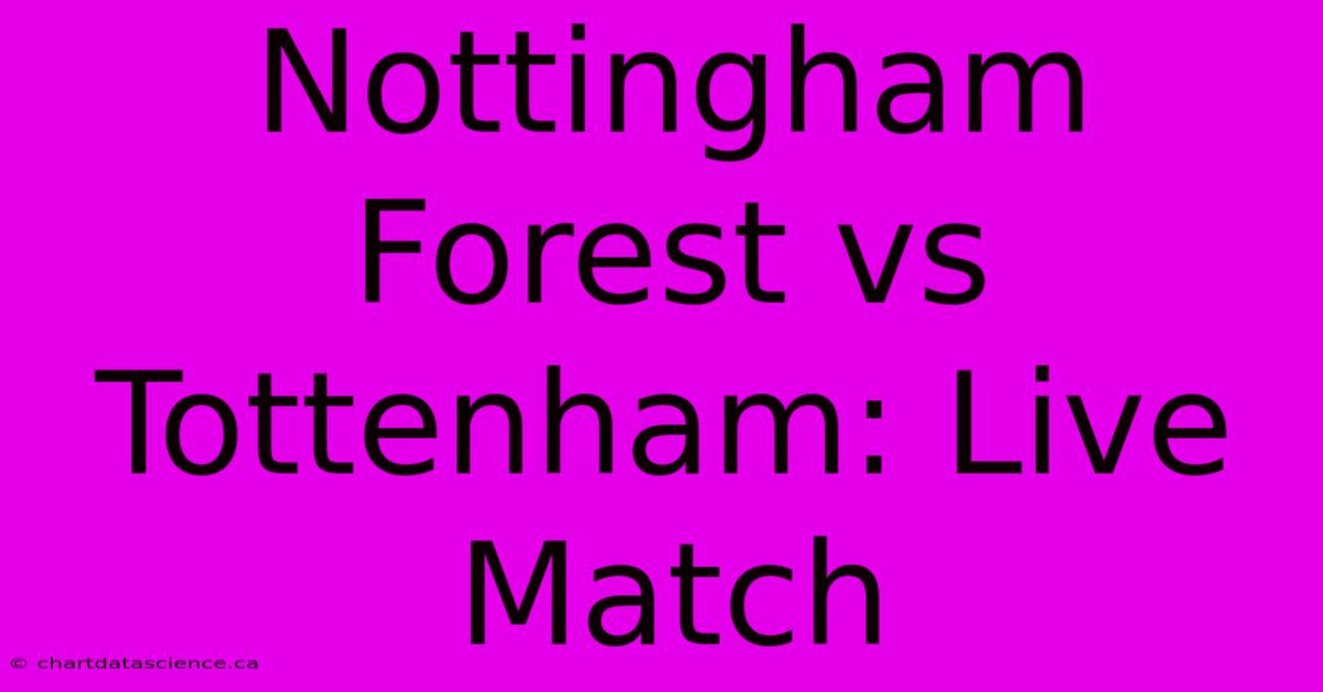 Nottingham Forest Vs Tottenham: Live Match