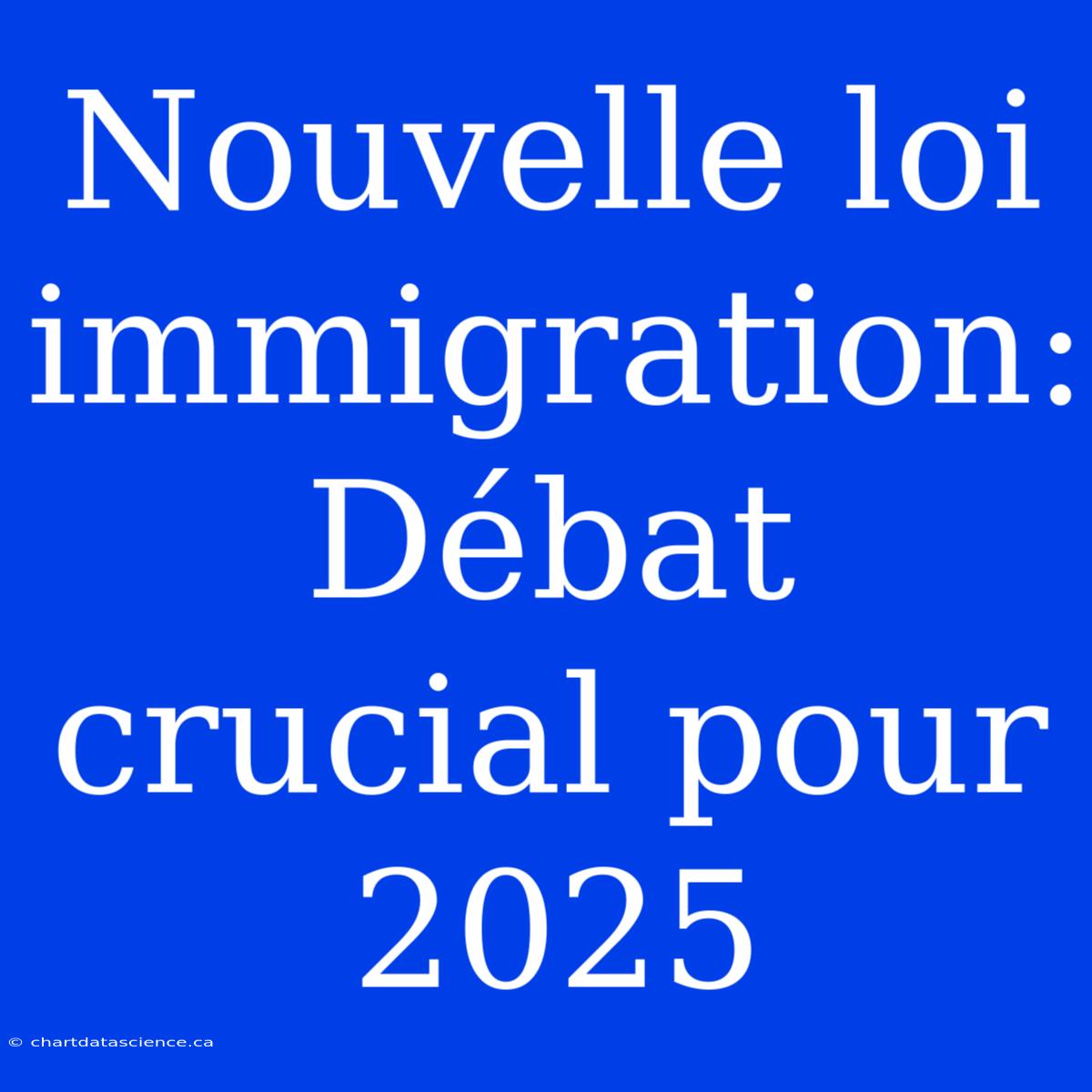 Nouvelle Loi Immigration: Débat Crucial Pour 2025