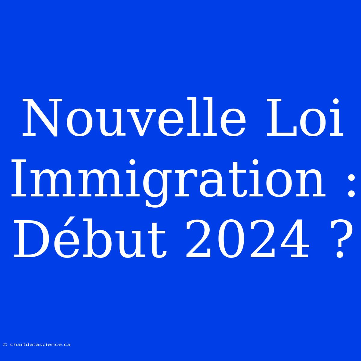 Nouvelle Loi Immigration : Début 2024 ?