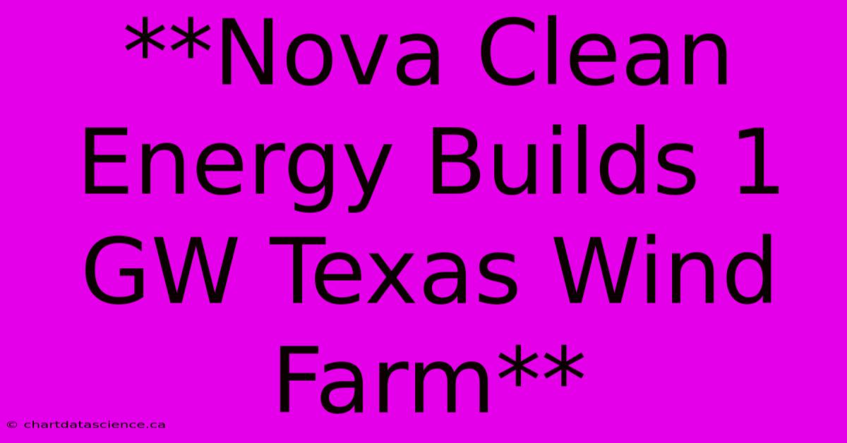 **Nova Clean Energy Builds 1 GW Texas Wind Farm**