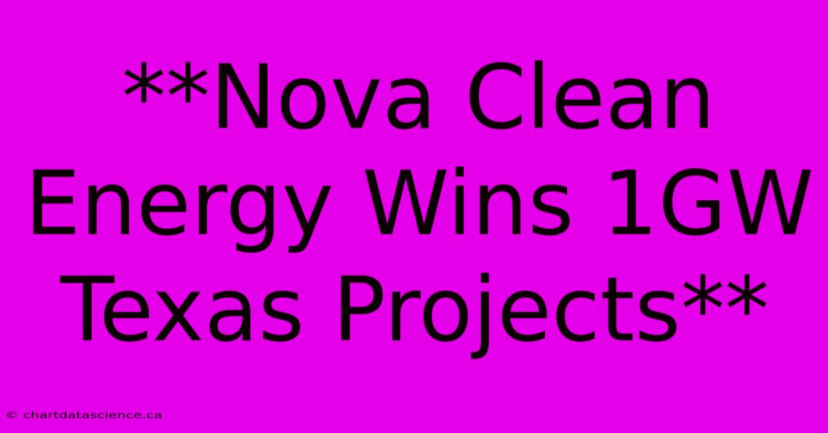 **Nova Clean Energy Wins 1GW Texas Projects**