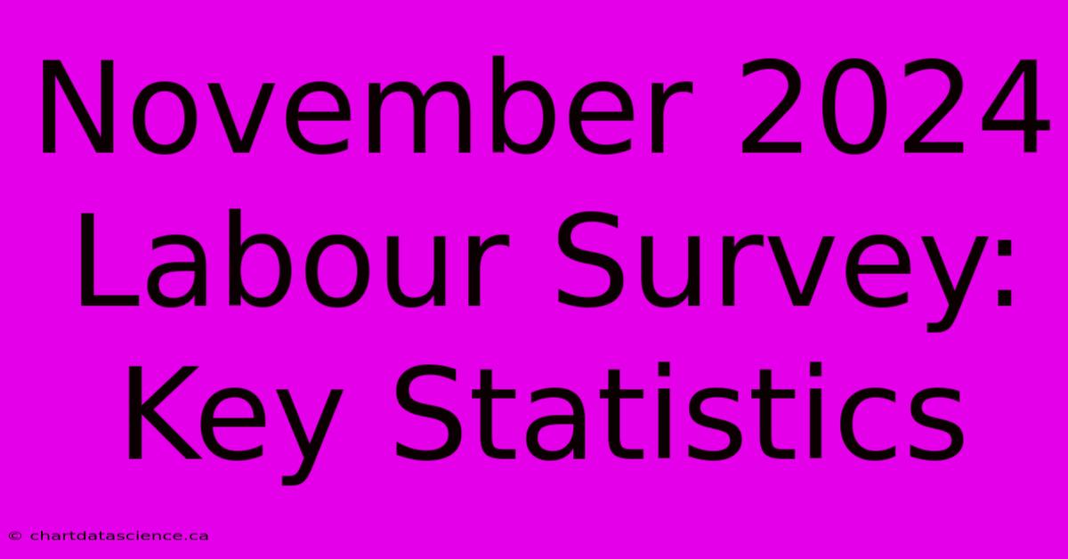 November 2024 Labour Survey: Key Statistics