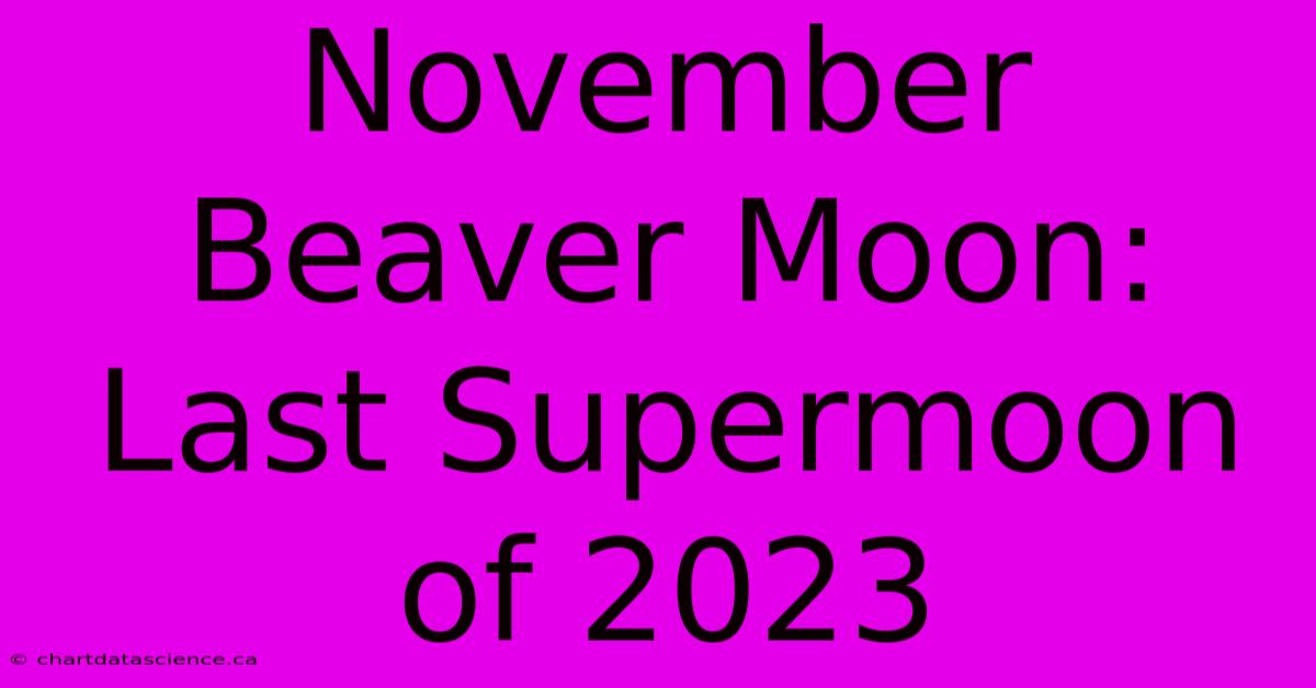 November Beaver Moon: Last Supermoon Of 2023