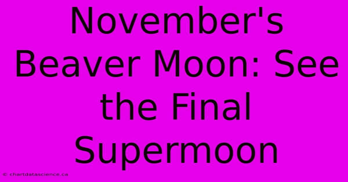 November's Beaver Moon: See The Final Supermoon 