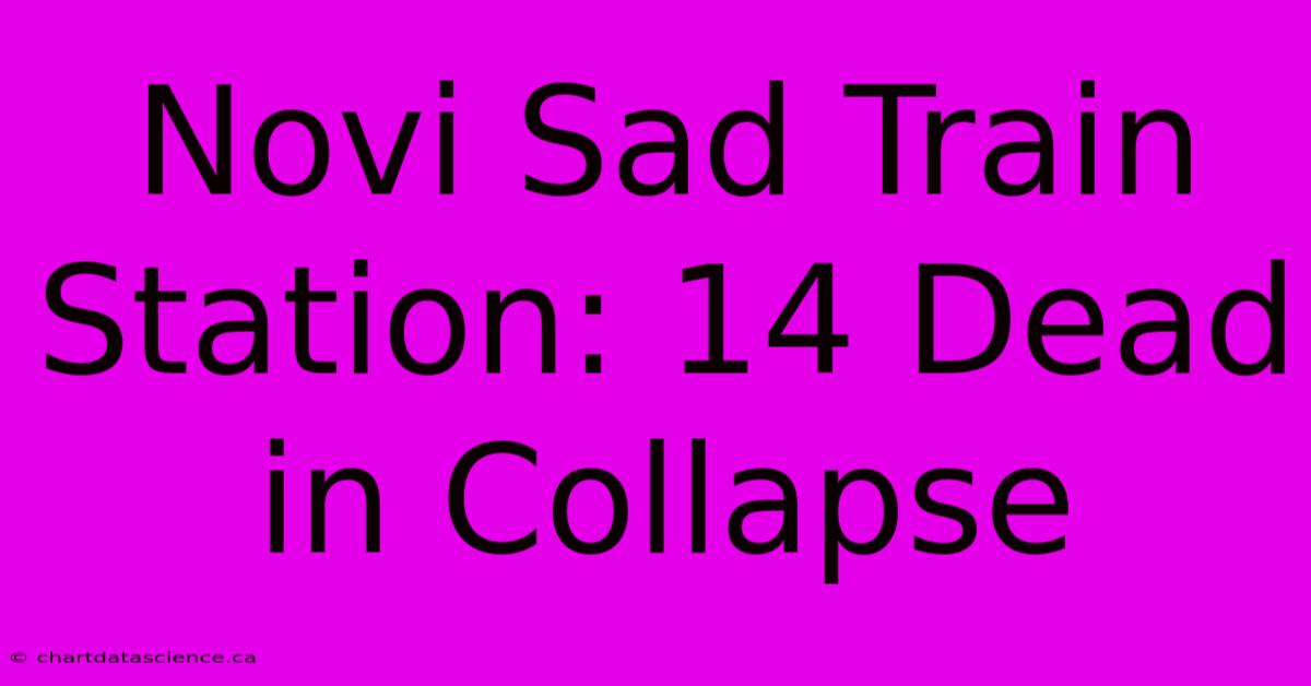 Novi Sad Train Station: 14 Dead In Collapse 