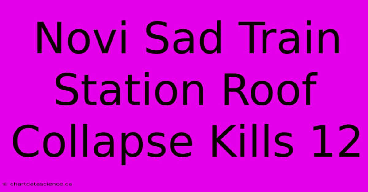 Novi Sad Train Station Roof Collapse Kills 12