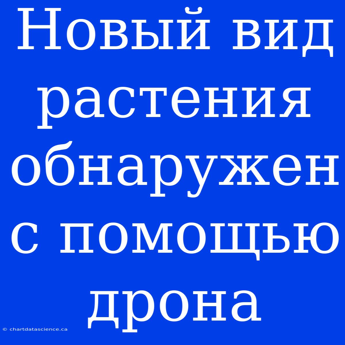 Новый Вид Растения Обнаружен С Помощью Дрона