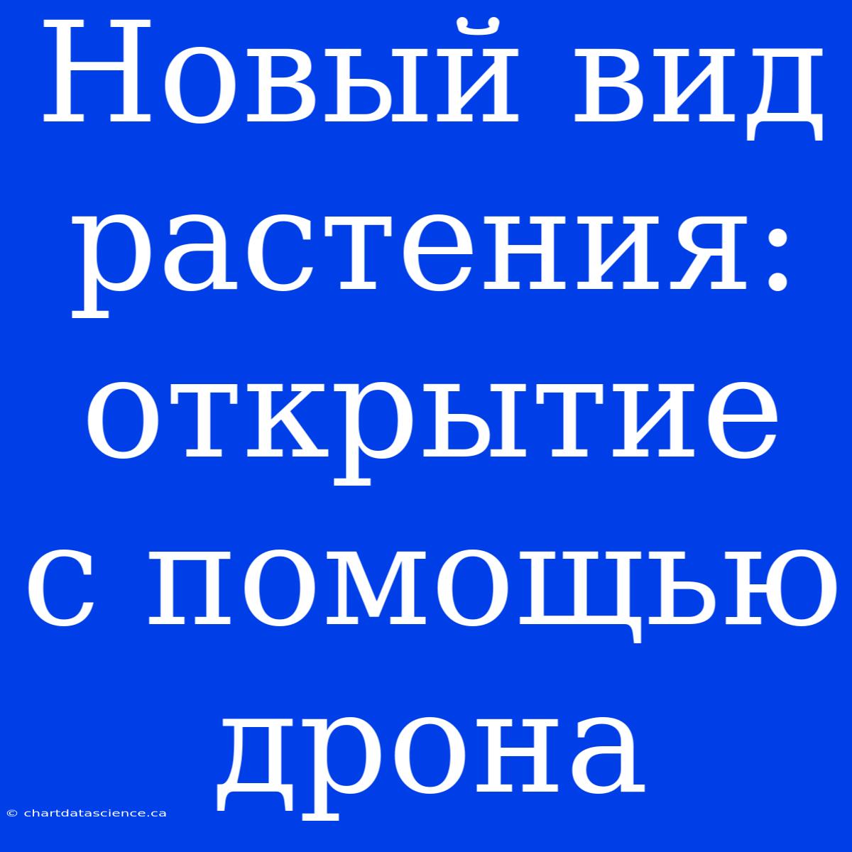 Новый Вид Растения: Открытие С Помощью Дрона