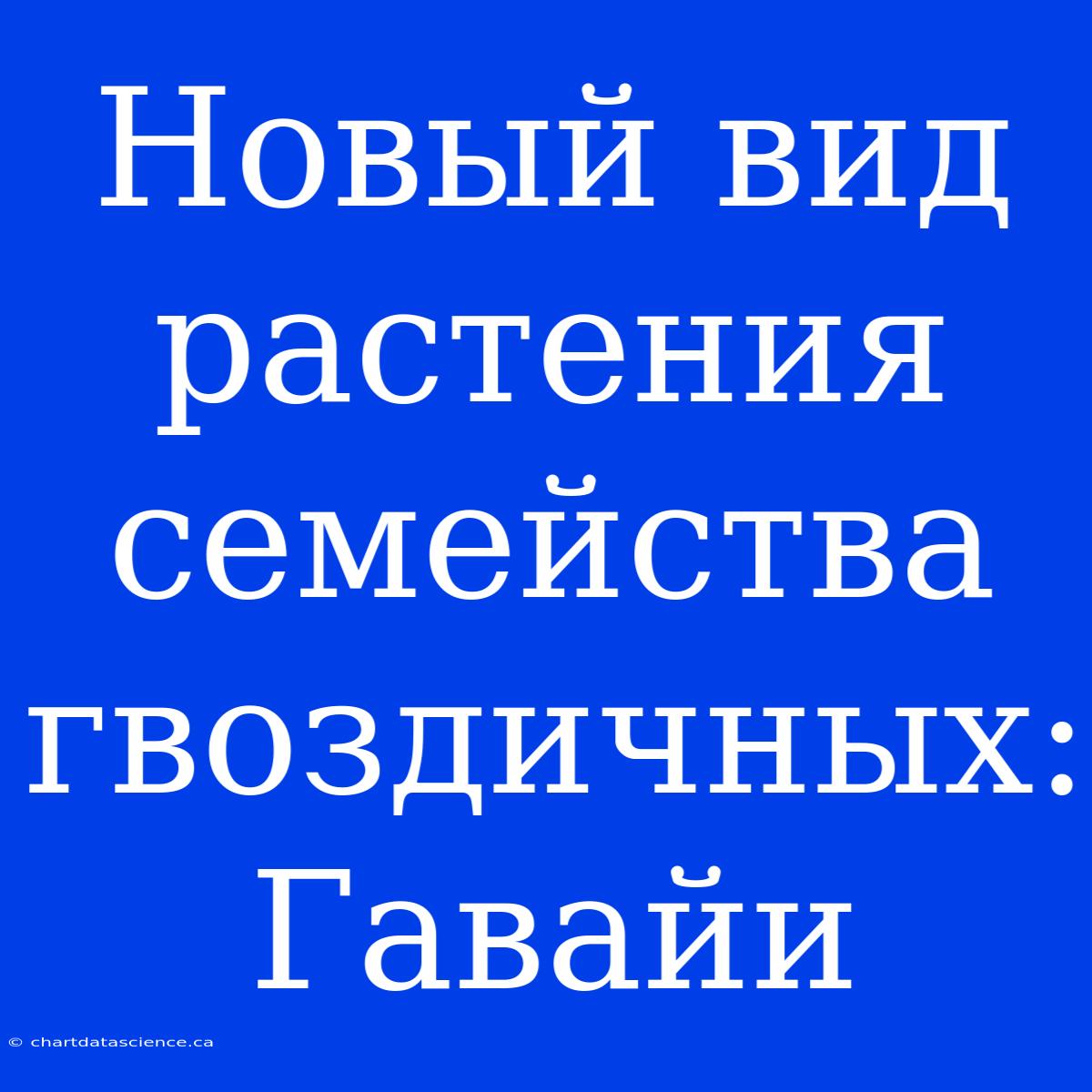 Новый Вид Растения Семейства Гвоздичных: Гавайи