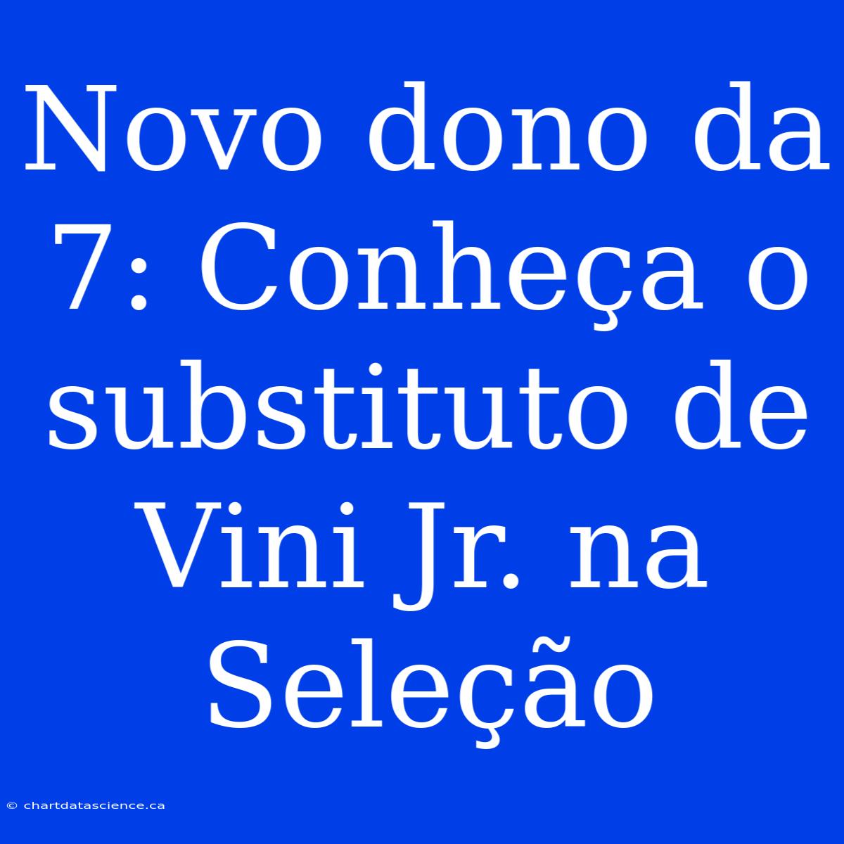 Novo Dono Da 7: Conheça O Substituto De Vini Jr. Na Seleção