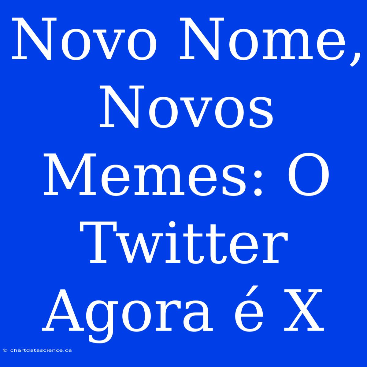 Novo Nome, Novos Memes: O Twitter Agora É X