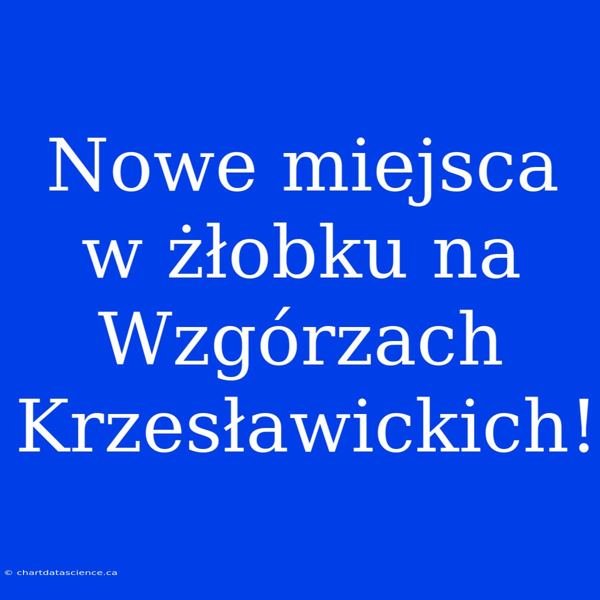 Nowe Miejsca W Żłobku Na Wzgórzach Krzesławickich!