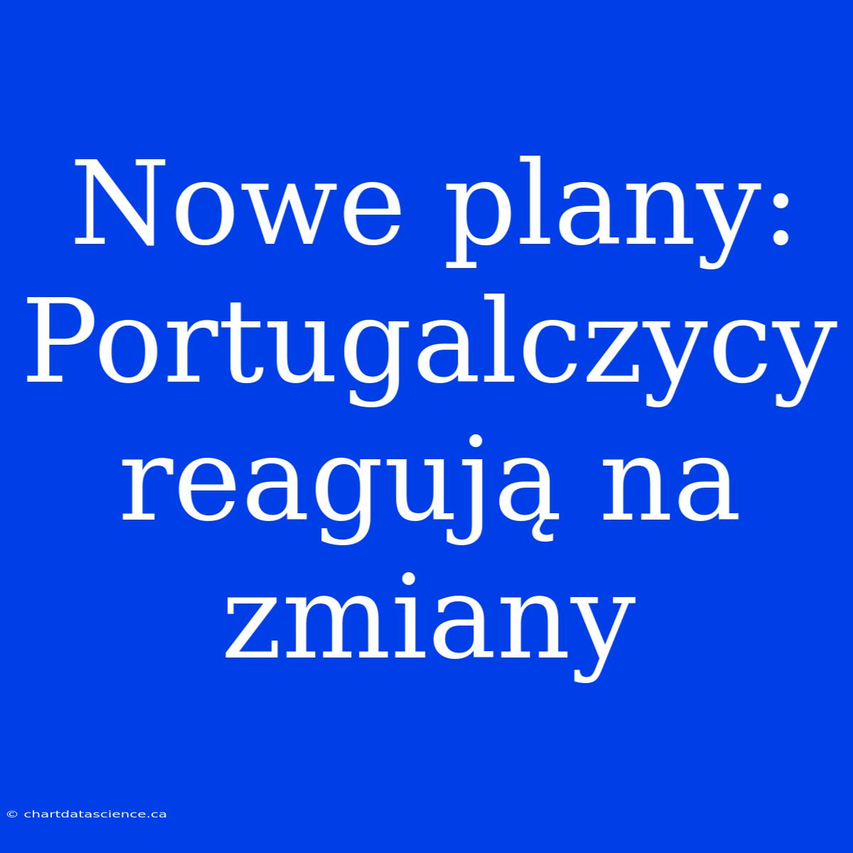 Nowe Plany: Portugalczycy Reagują Na Zmiany