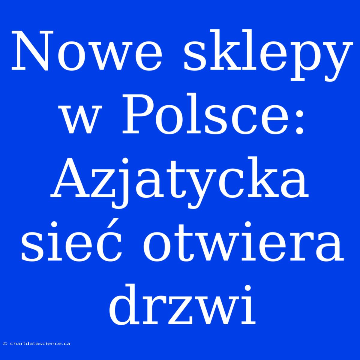 Nowe Sklepy W Polsce: Azjatycka Sieć Otwiera Drzwi