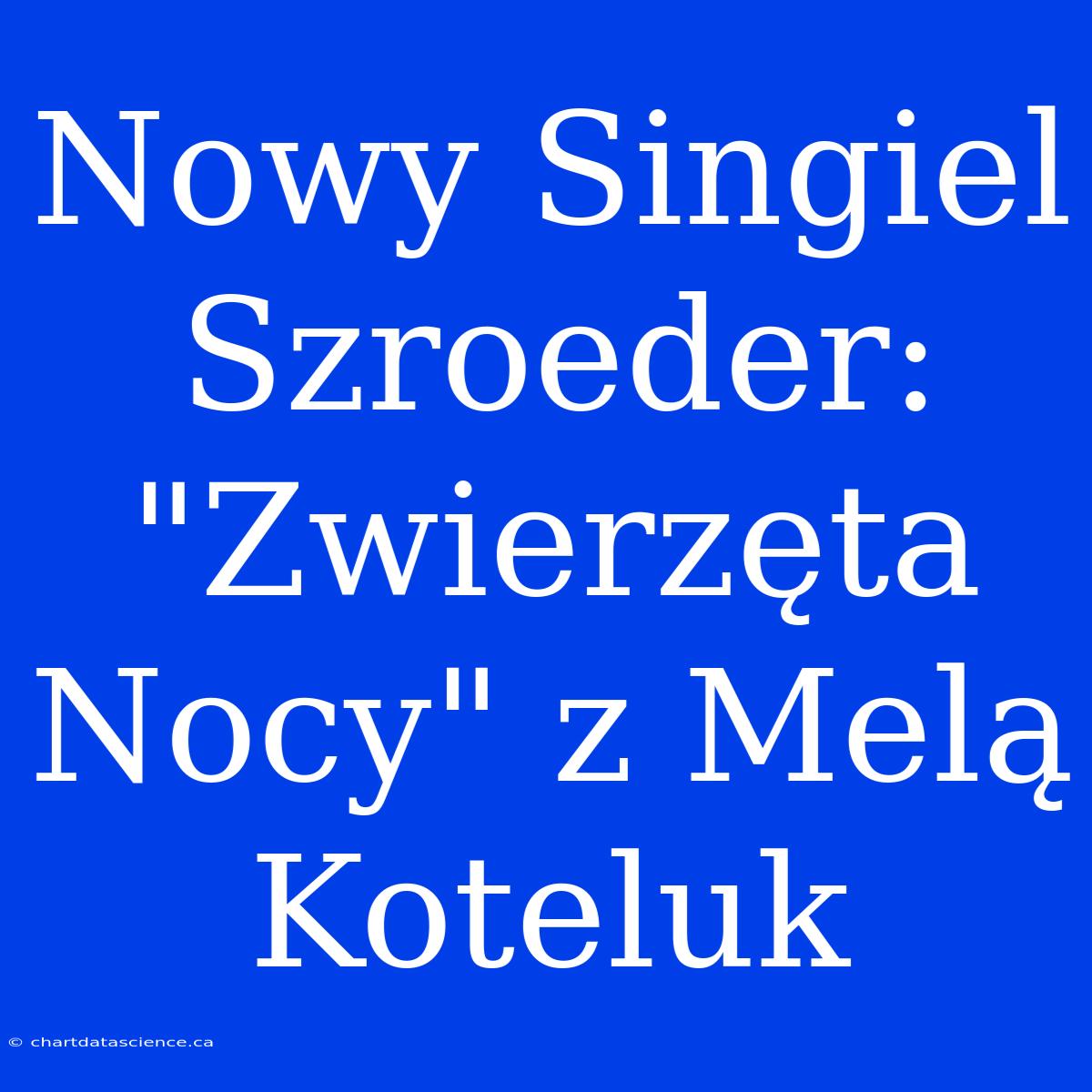 Nowy Singiel Szroeder: 