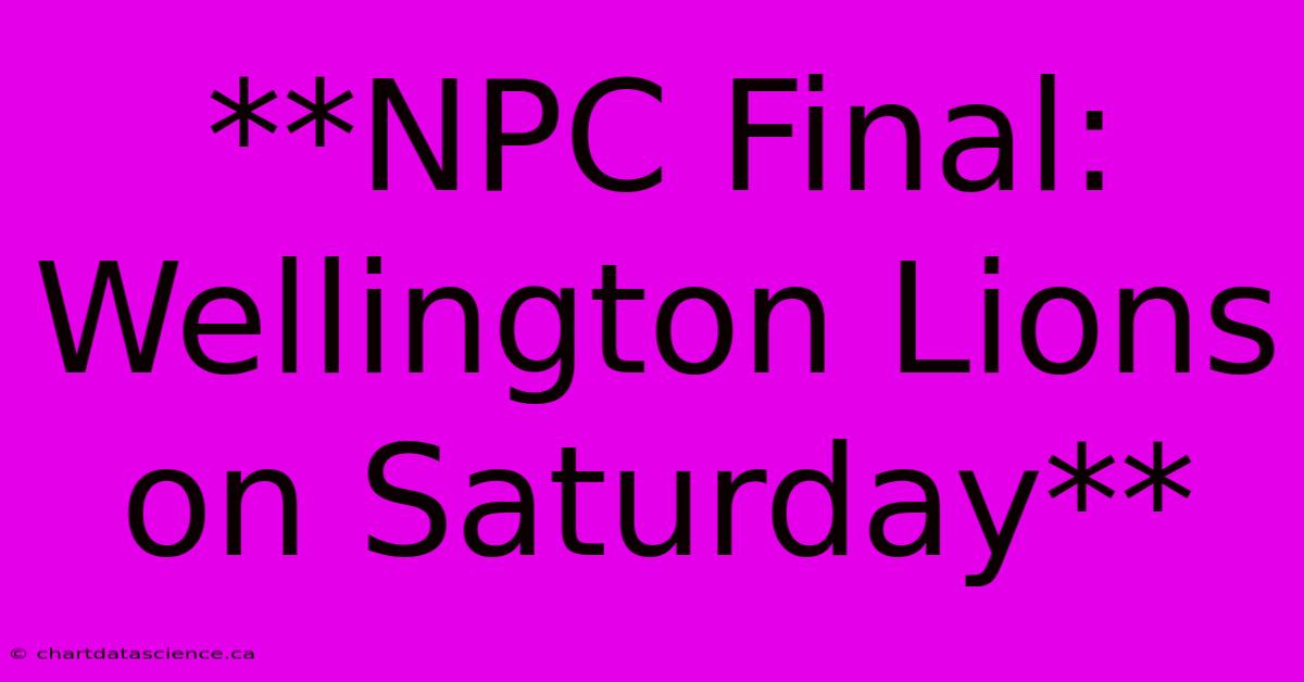 **NPC Final: Wellington Lions On Saturday**