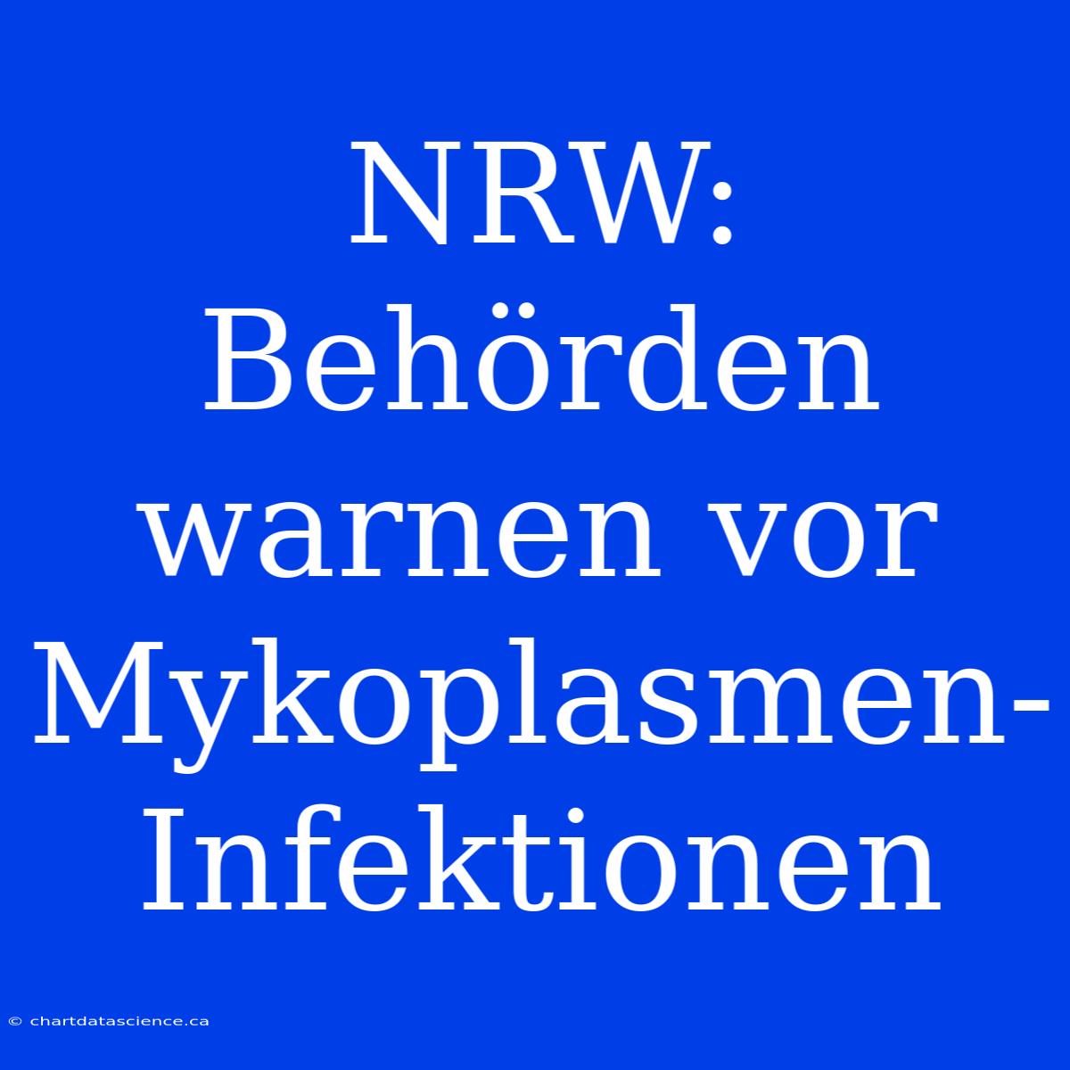 NRW: Behörden Warnen Vor Mykoplasmen-Infektionen