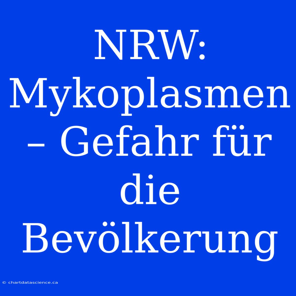 NRW: Mykoplasmen – Gefahr Für Die Bevölkerung