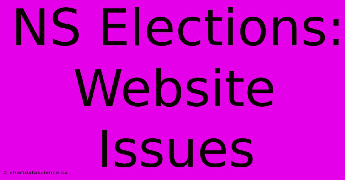 NS Elections: Website Issues