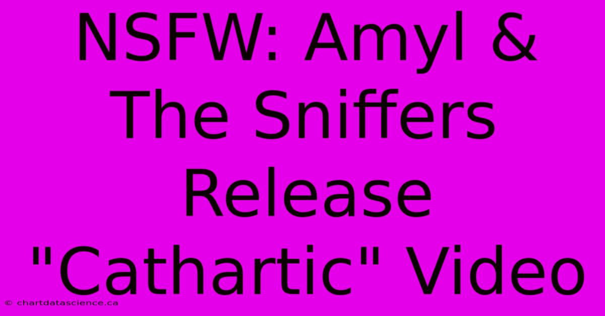 NSFW: Amyl & The Sniffers Release 