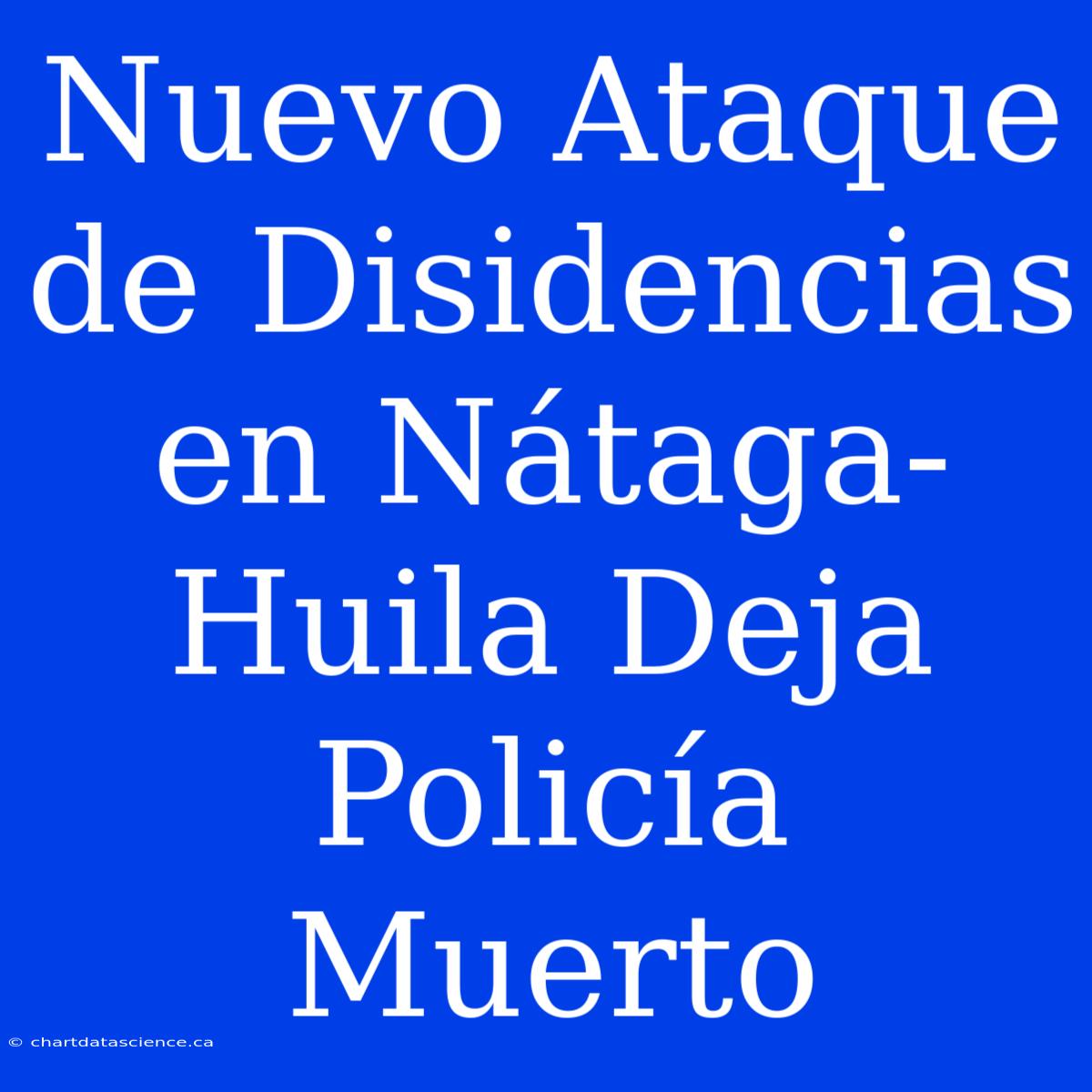 Nuevo Ataque De Disidencias En Nátaga-Huila Deja Policía Muerto