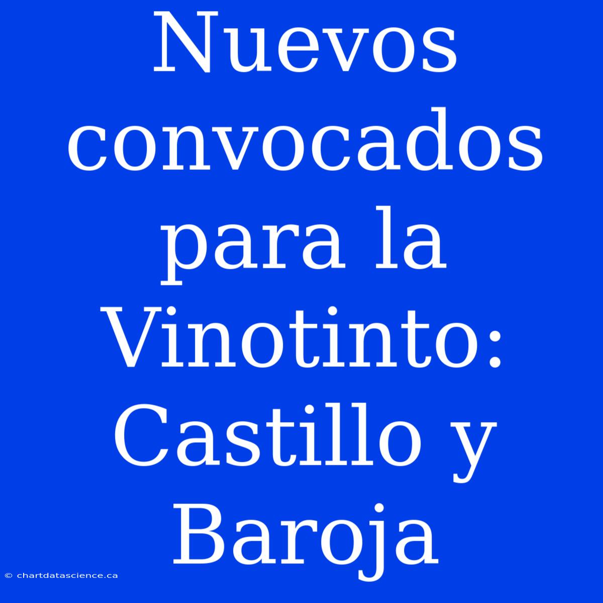 Nuevos Convocados Para La Vinotinto: Castillo Y Baroja