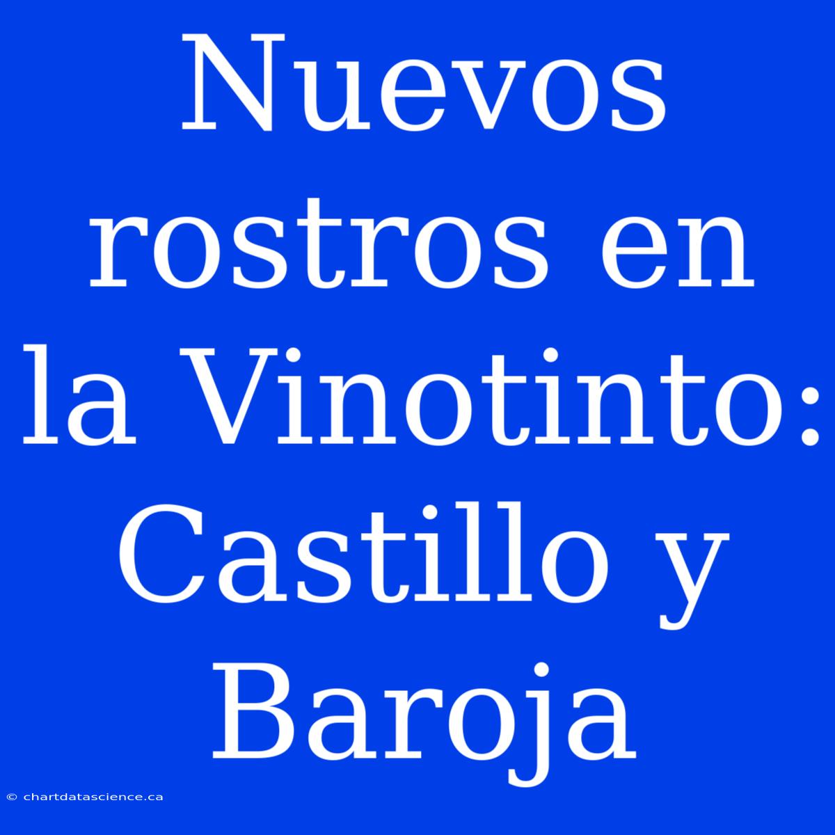 Nuevos Rostros En La Vinotinto: Castillo Y Baroja