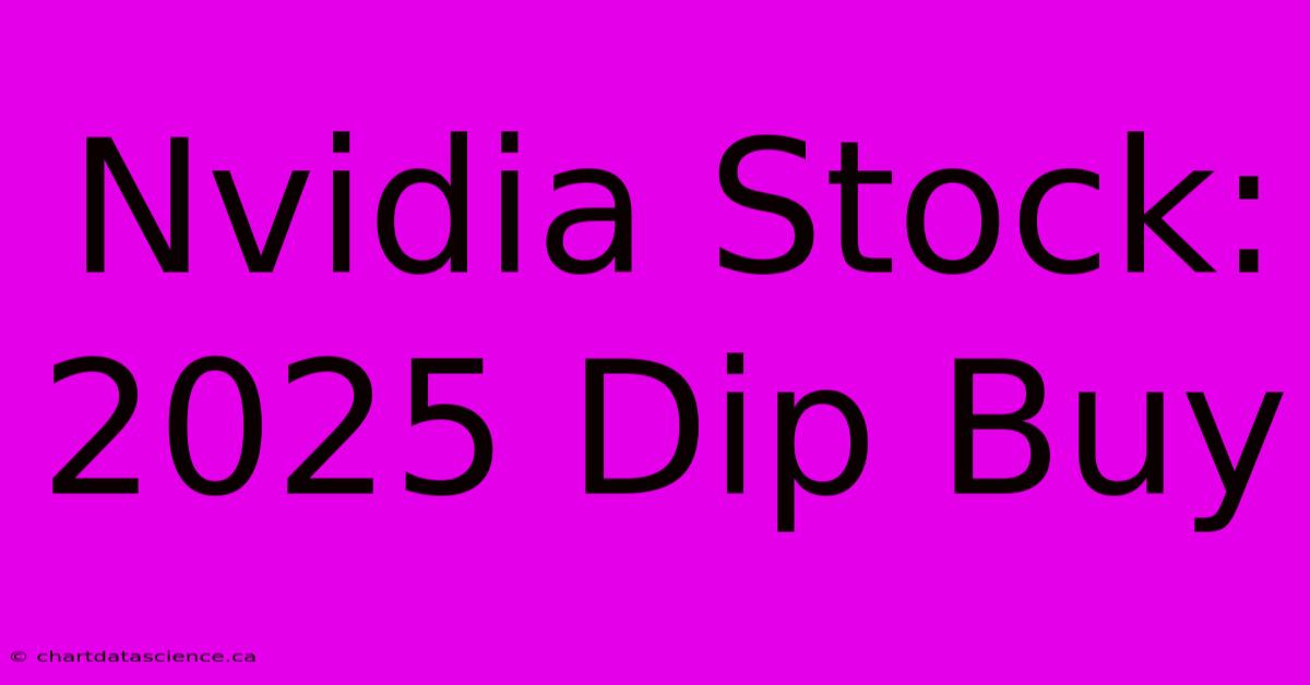 Nvidia Stock: 2025 Dip Buy