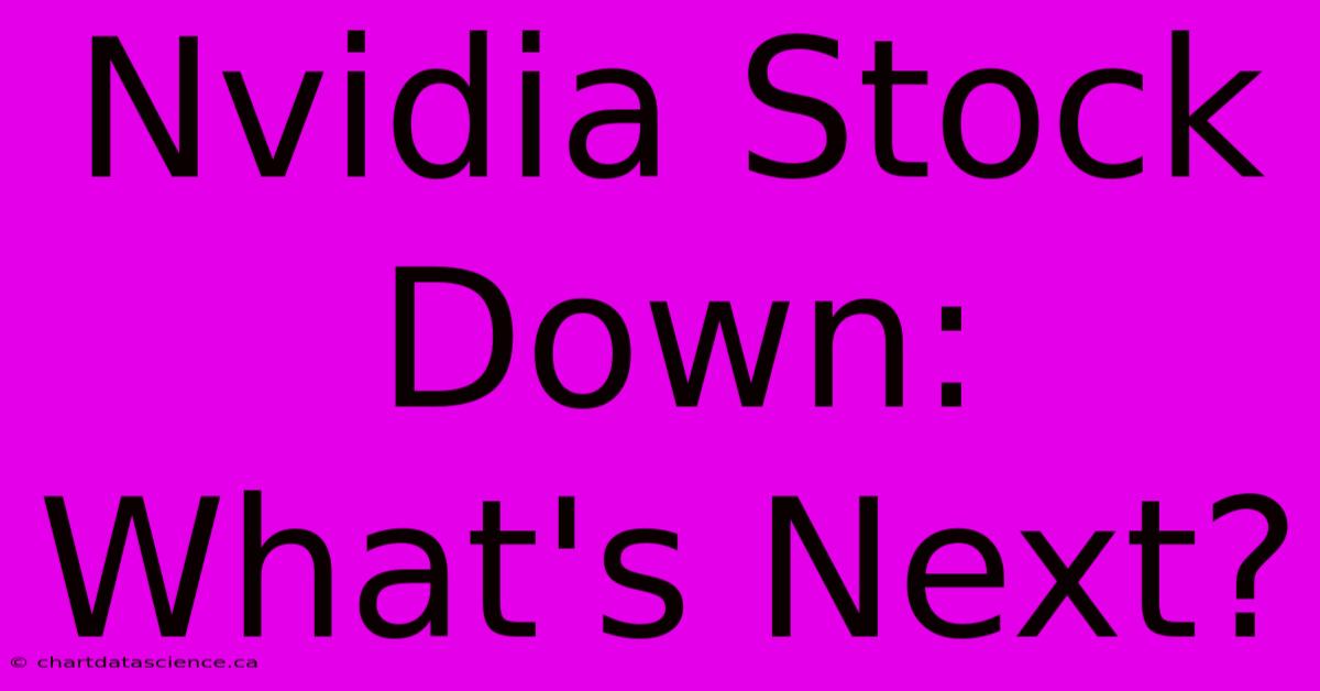 Nvidia Stock Down: What's Next?