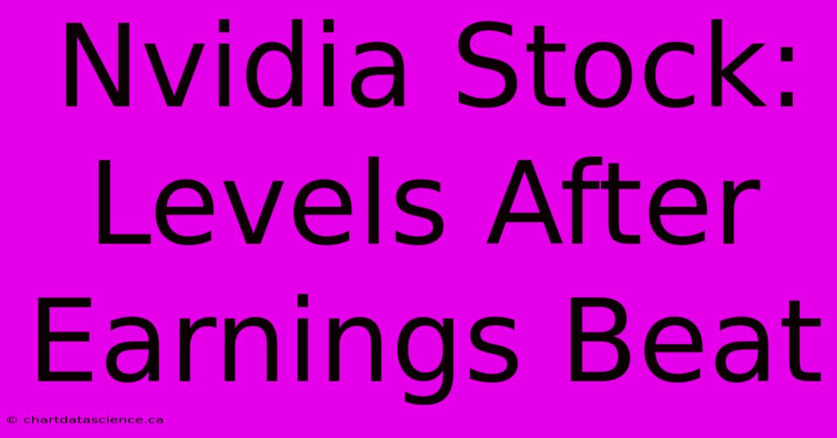 Nvidia Stock: Levels After Earnings Beat