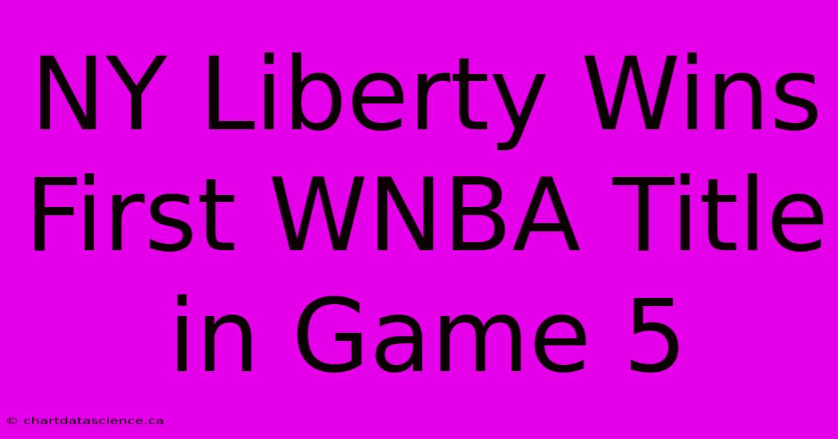 NY Liberty Wins First WNBA Title In Game 5