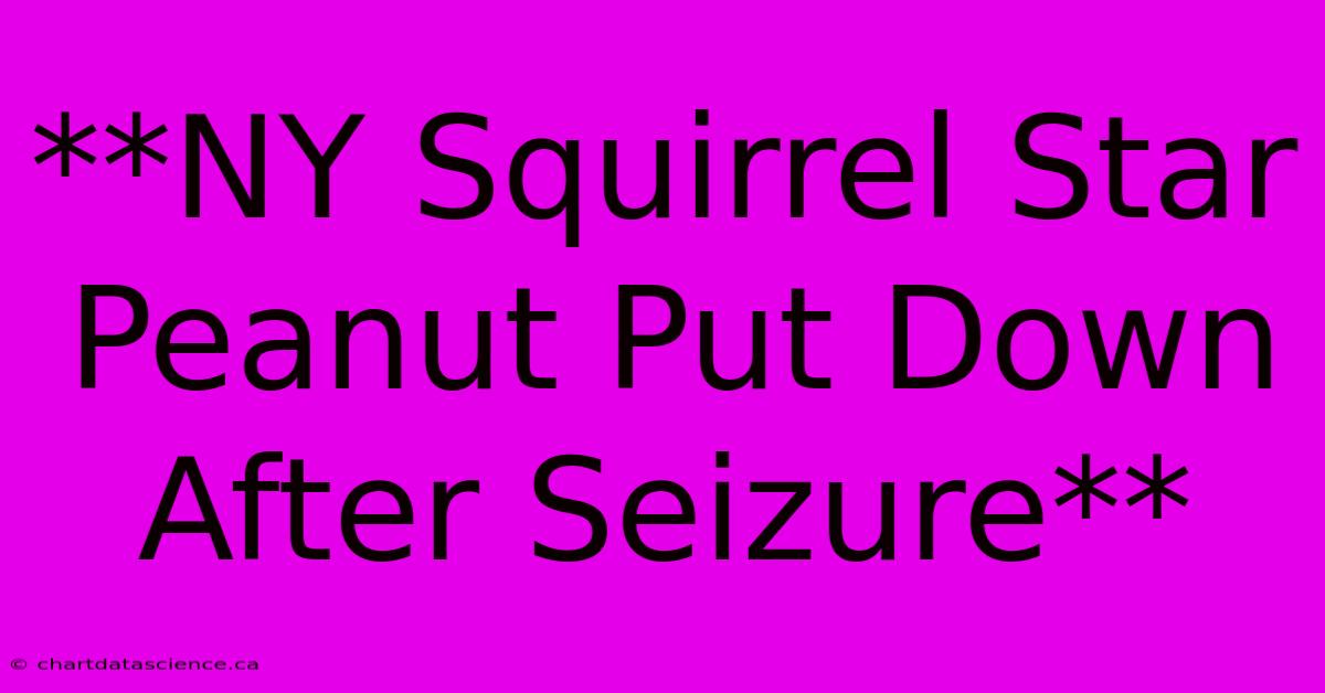 **NY Squirrel Star Peanut Put Down After Seizure**