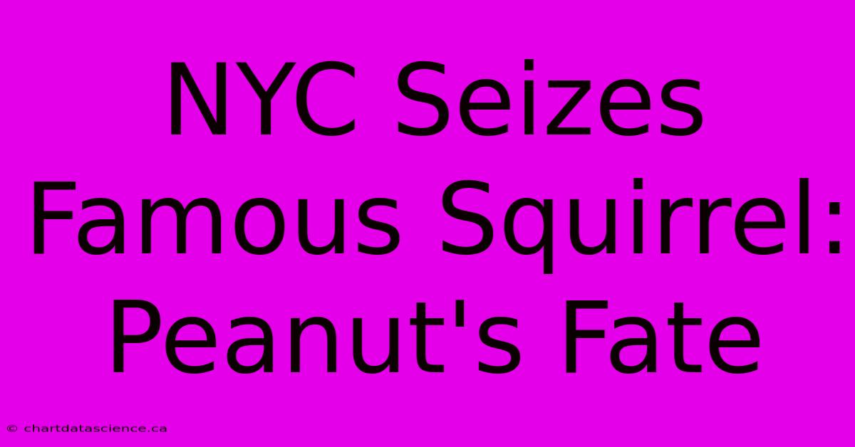 NYC Seizes Famous Squirrel: Peanut's Fate