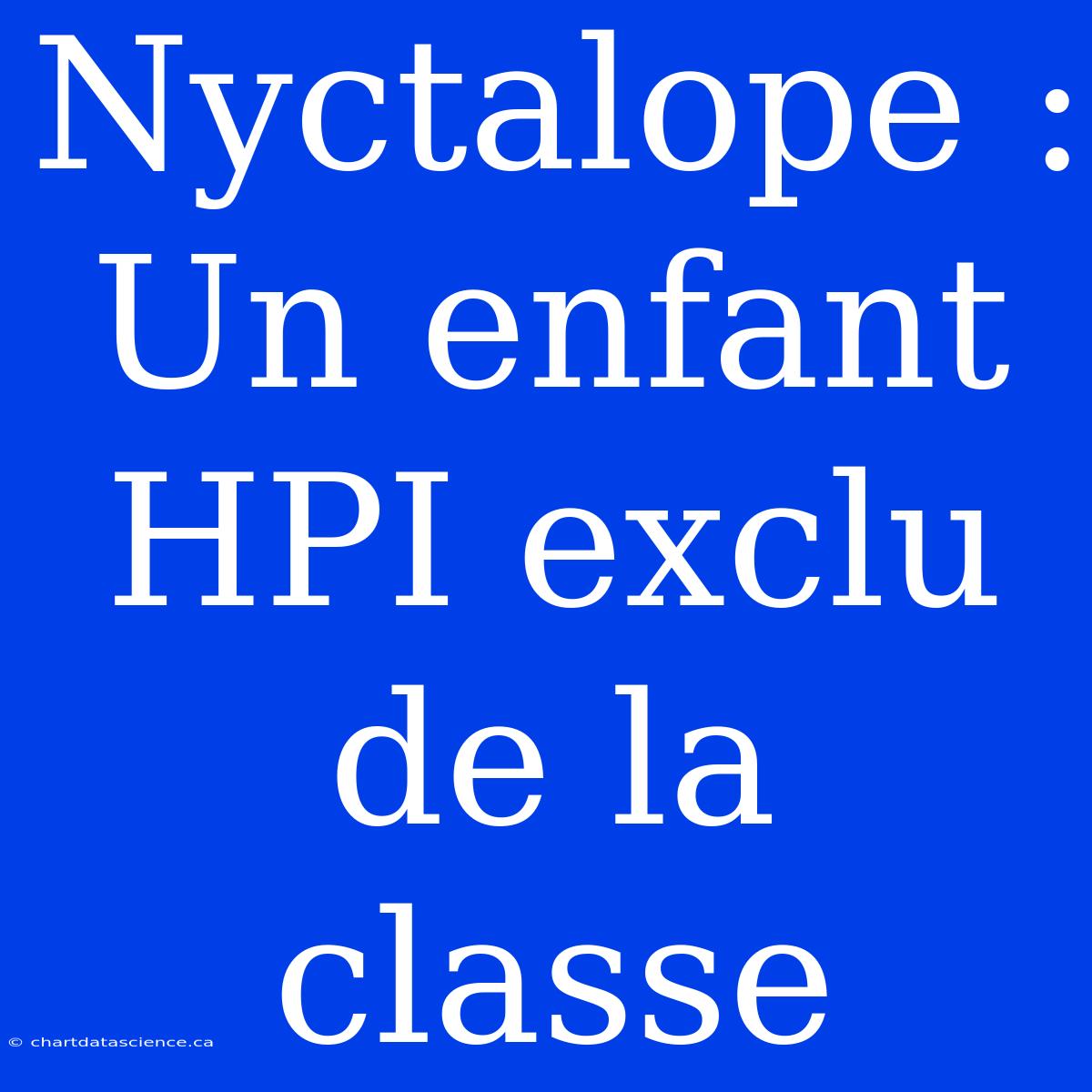 Nyctalope : Un Enfant HPI Exclu De La Classe