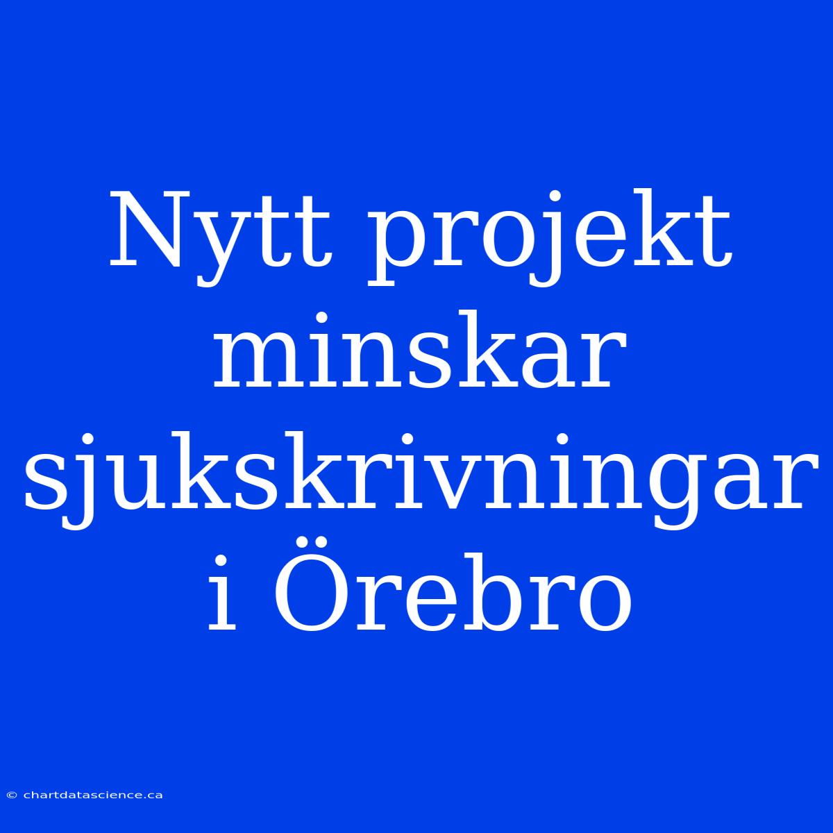 Nytt Projekt Minskar Sjukskrivningar I Örebro