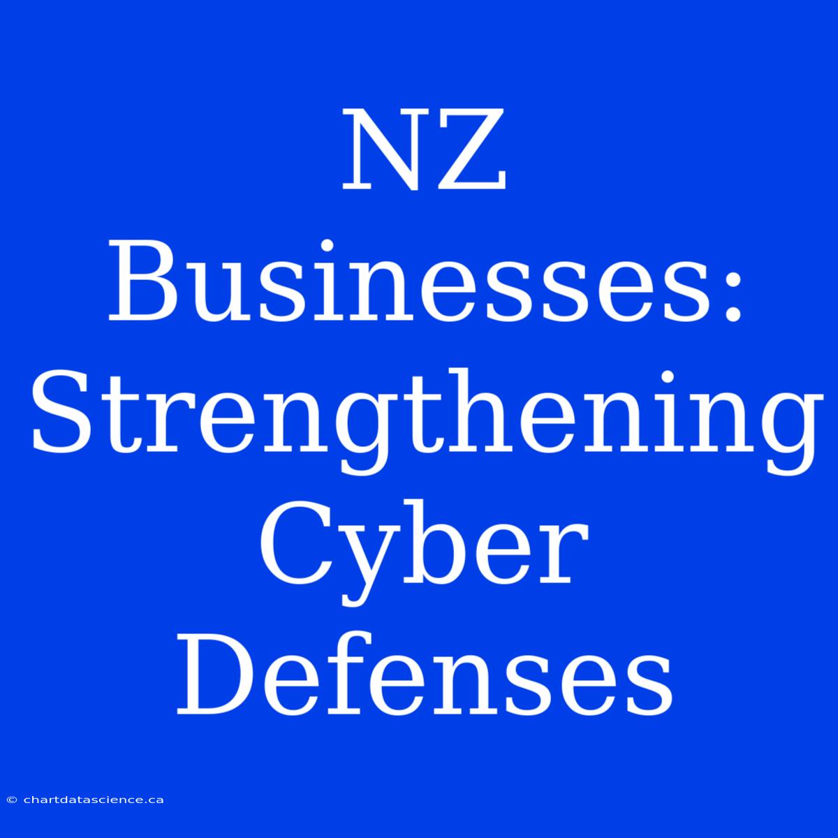 NZ Businesses: Strengthening Cyber Defenses