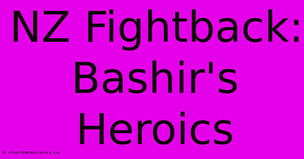 NZ Fightback: Bashir's Heroics