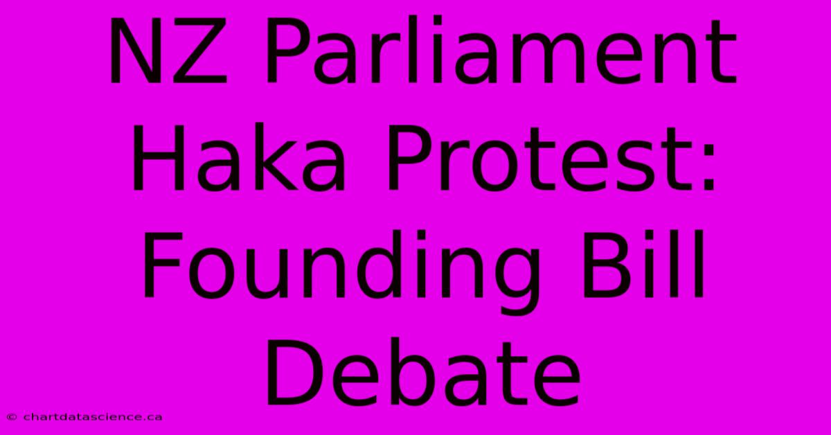 NZ Parliament Haka Protest: Founding Bill Debate 