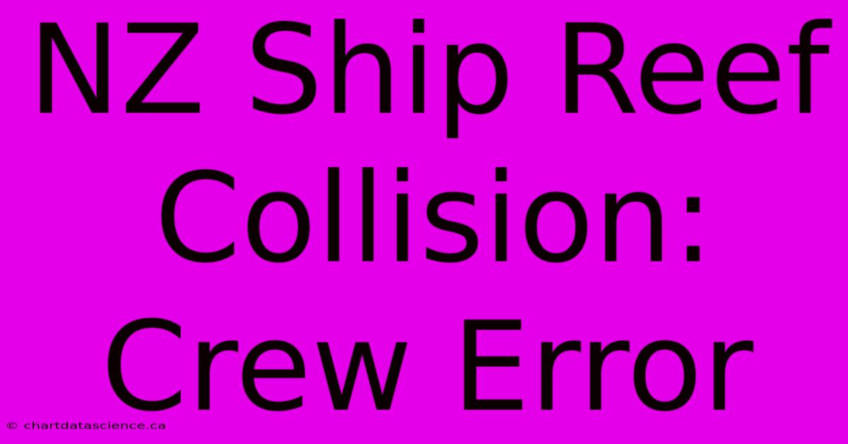 NZ Ship Reef Collision: Crew Error