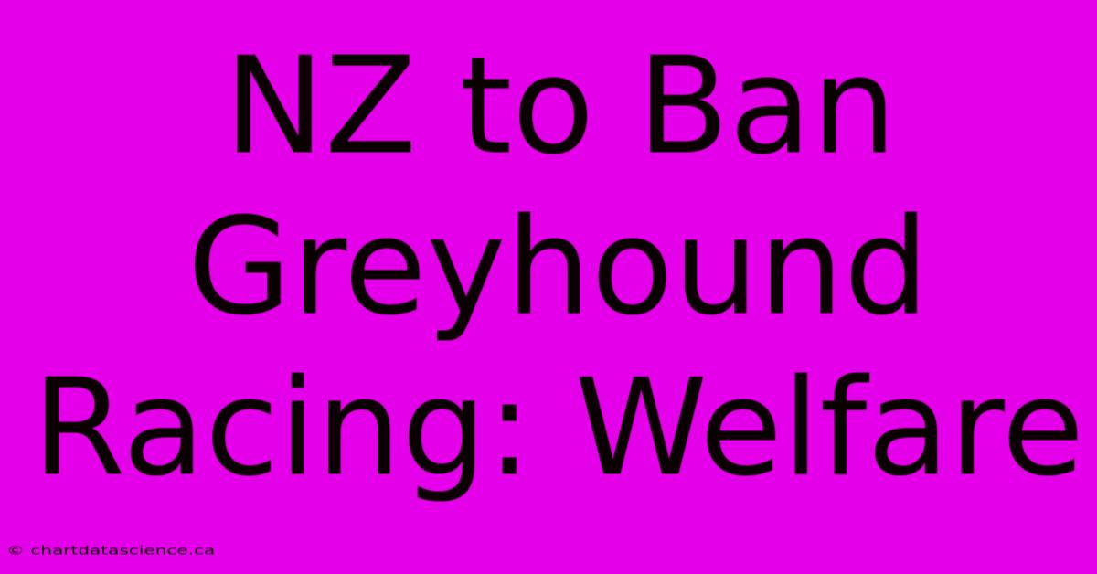 NZ To Ban Greyhound Racing: Welfare