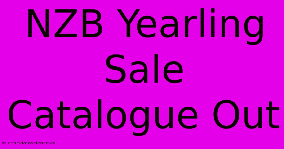 NZB Yearling Sale Catalogue Out