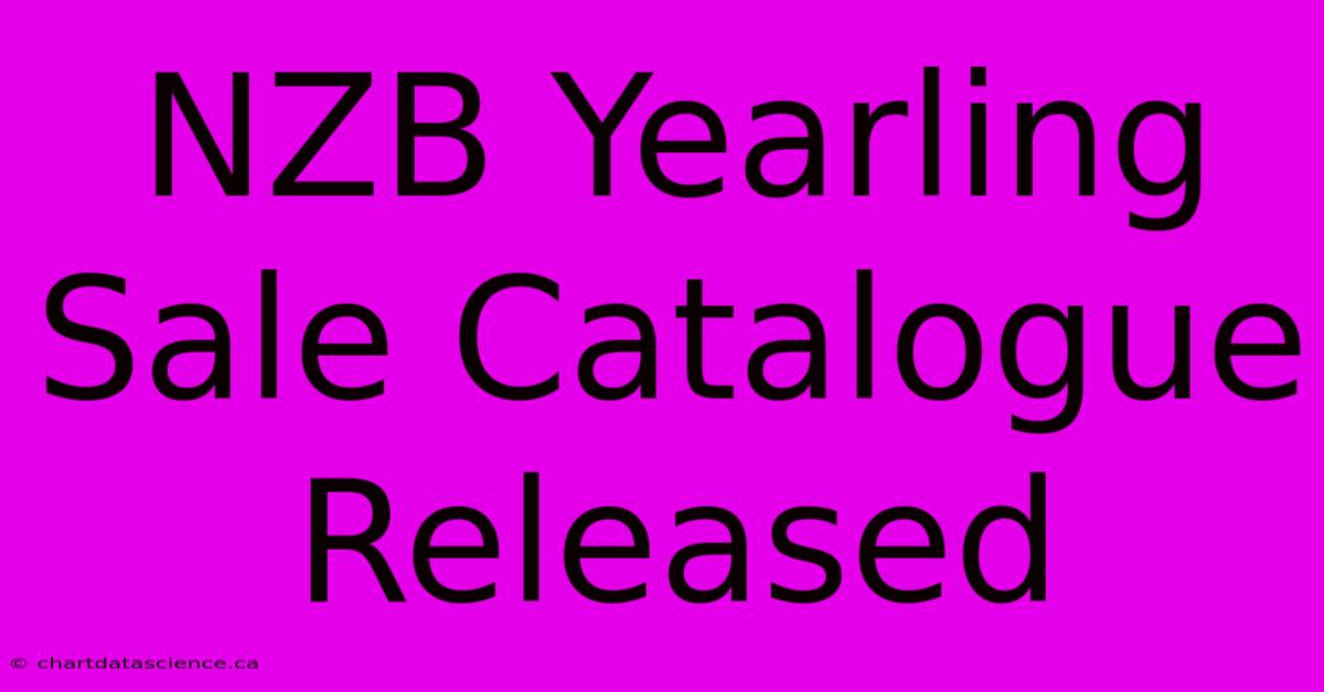 NZB Yearling Sale Catalogue Released