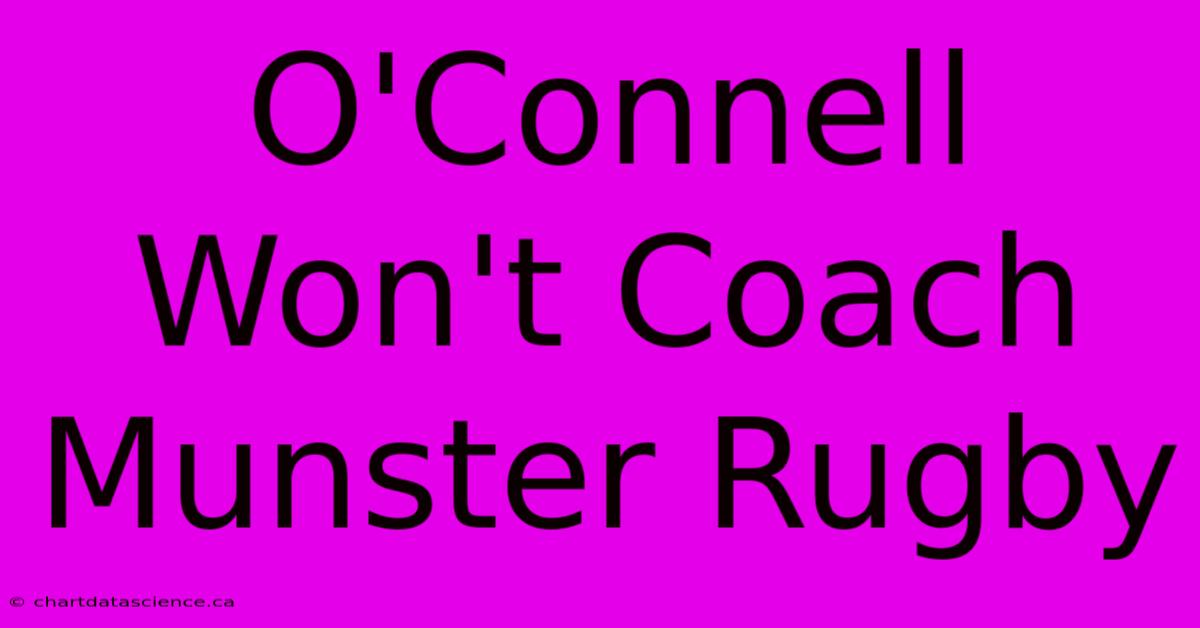 O'Connell Won't Coach Munster Rugby