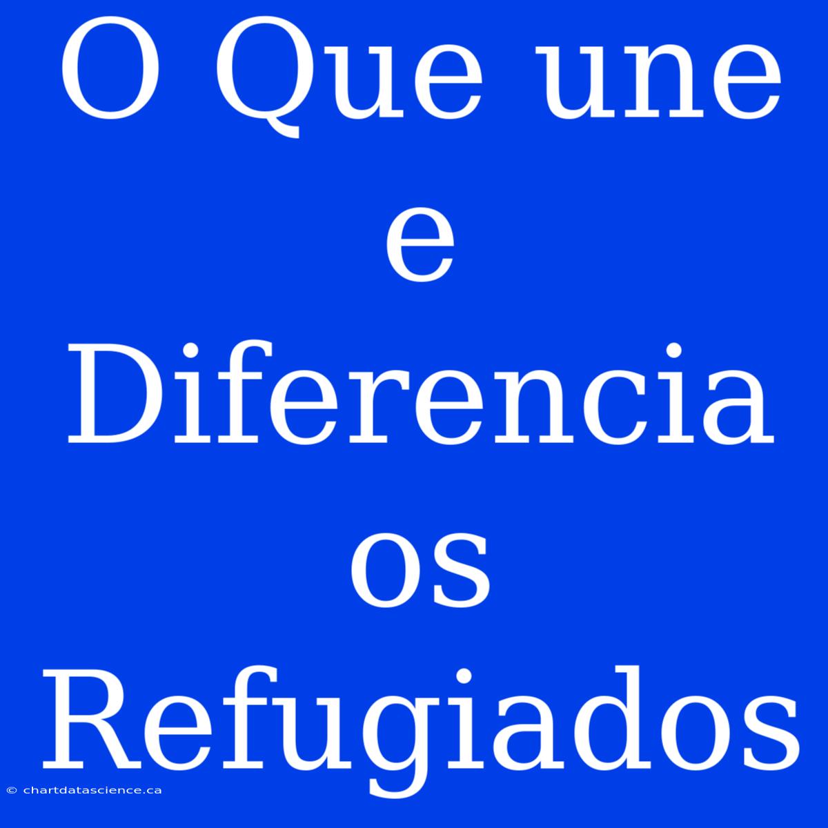 O Que Une E Diferencia Os Refugiados