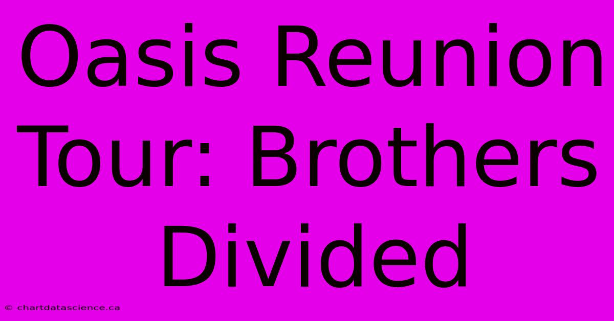 Oasis Reunion Tour: Brothers Divided