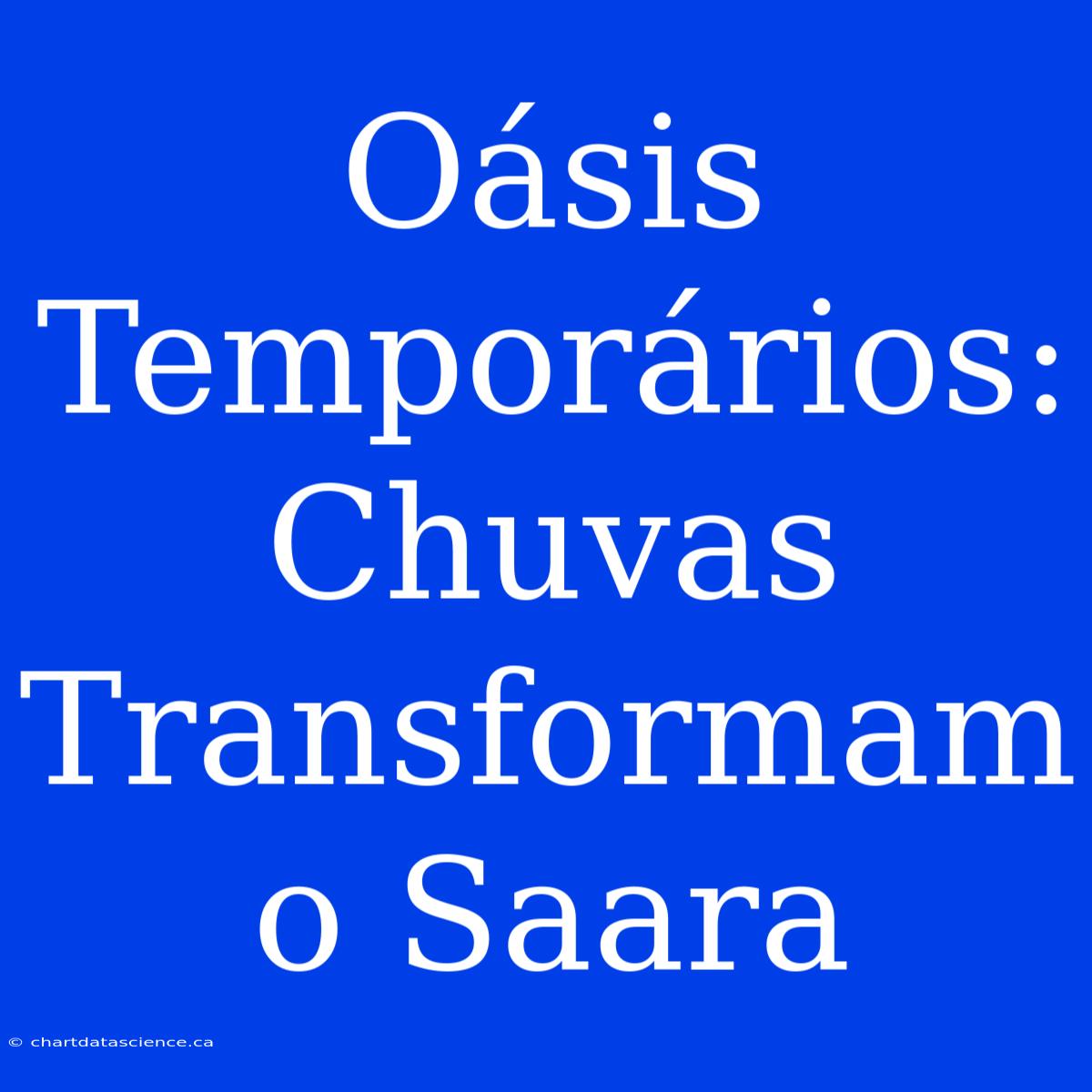 Oásis Temporários: Chuvas Transformam O Saara