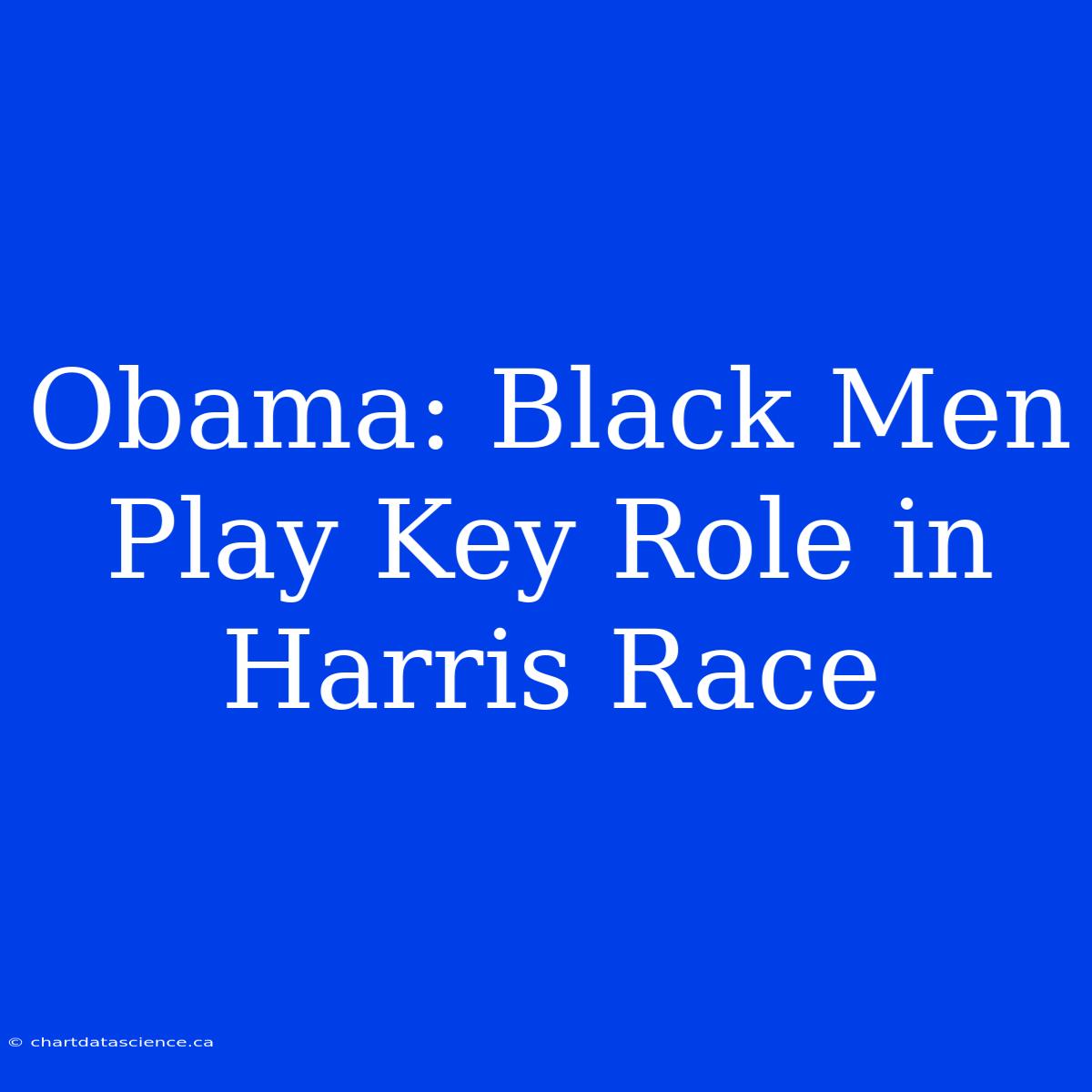 Obama: Black Men Play Key Role In Harris Race