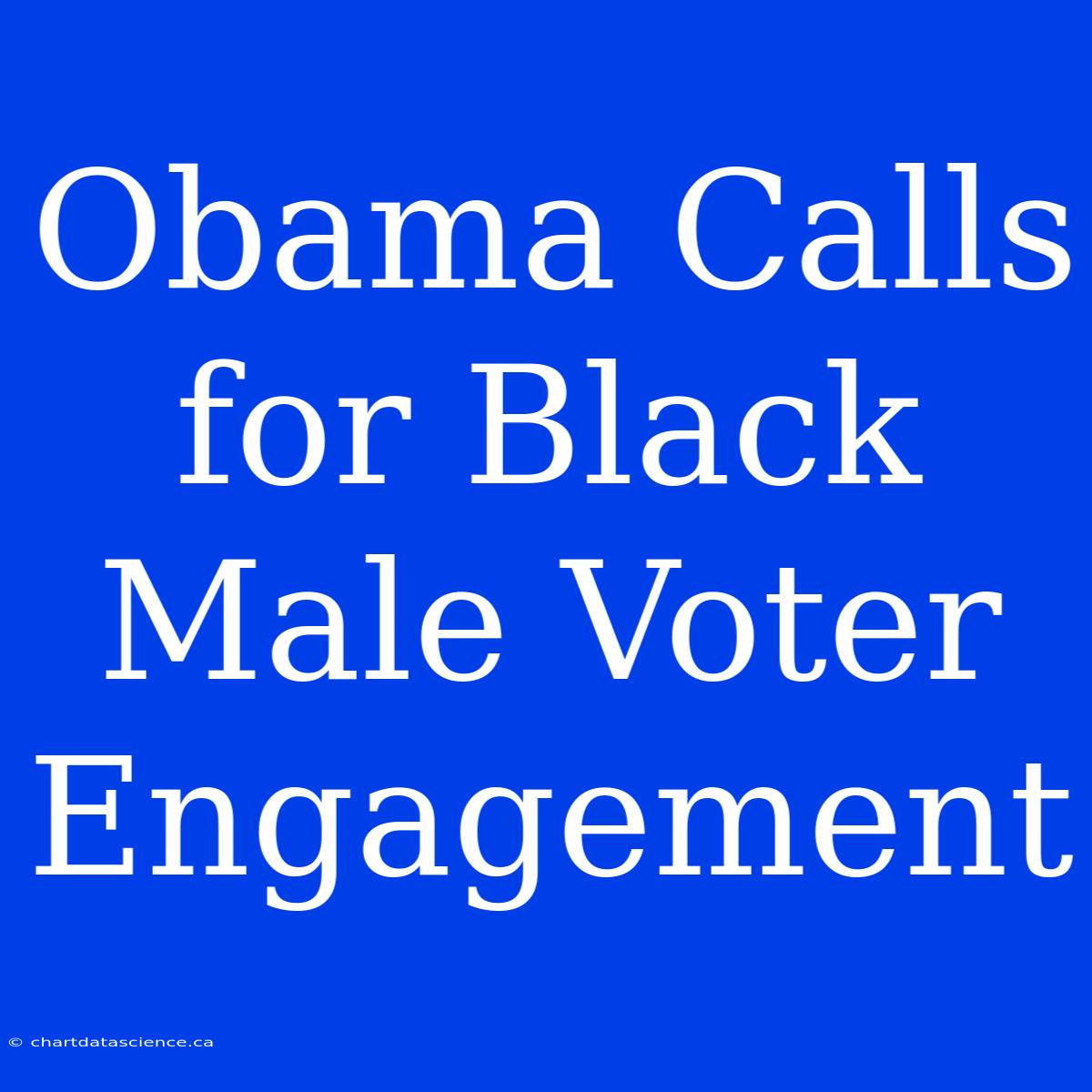 Obama Calls For Black Male Voter Engagement