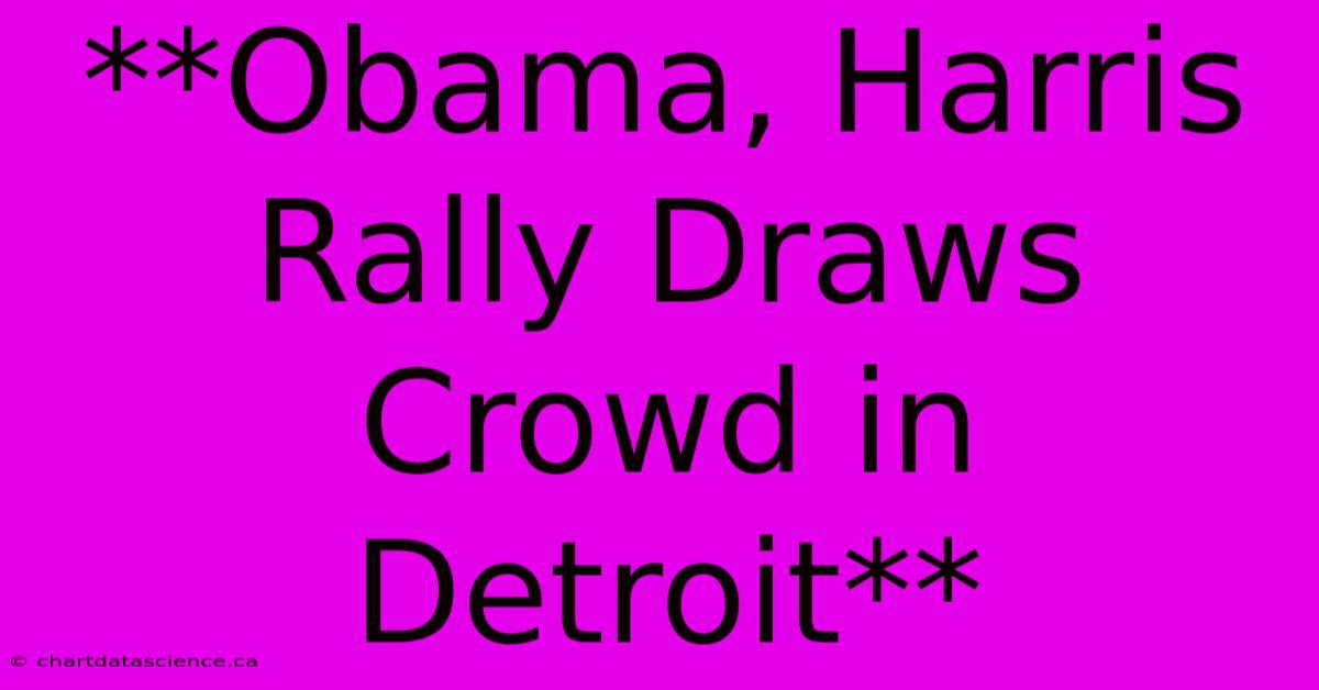 **Obama, Harris Rally Draws Crowd In Detroit**