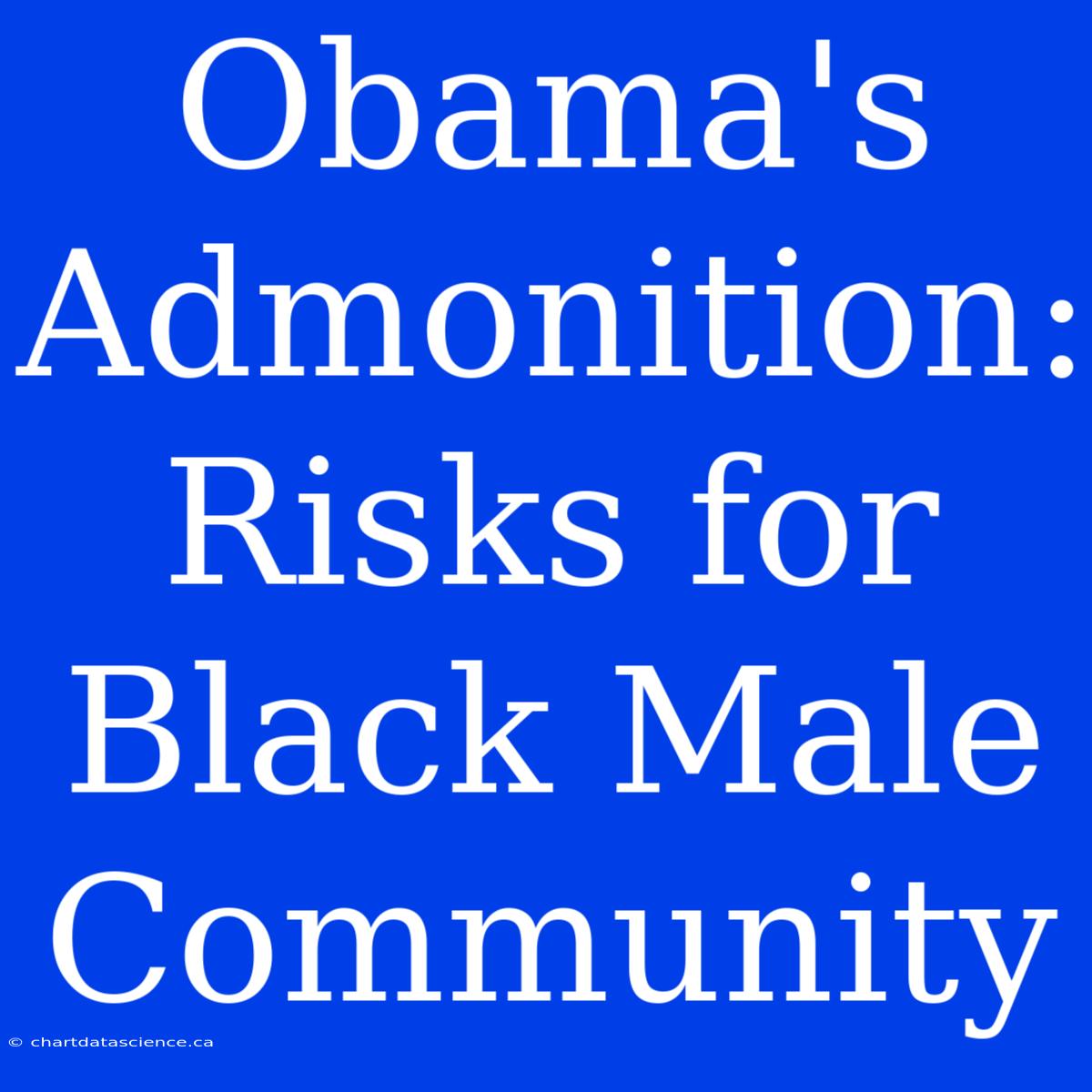 Obama's Admonition: Risks For Black Male Community